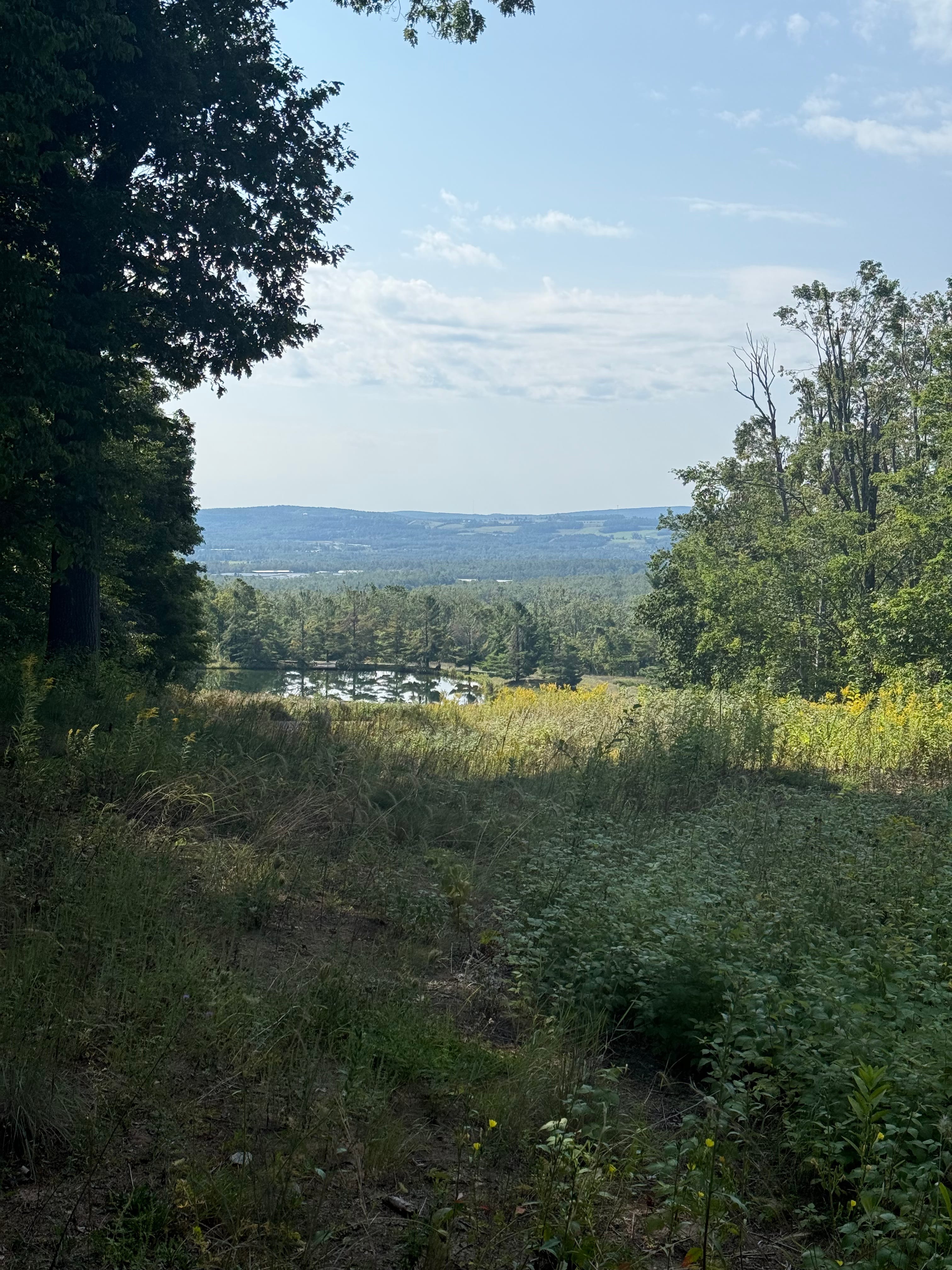 Summer meadow and pond view near Harbor Springs, Michigan with rolling wooded hills in the background