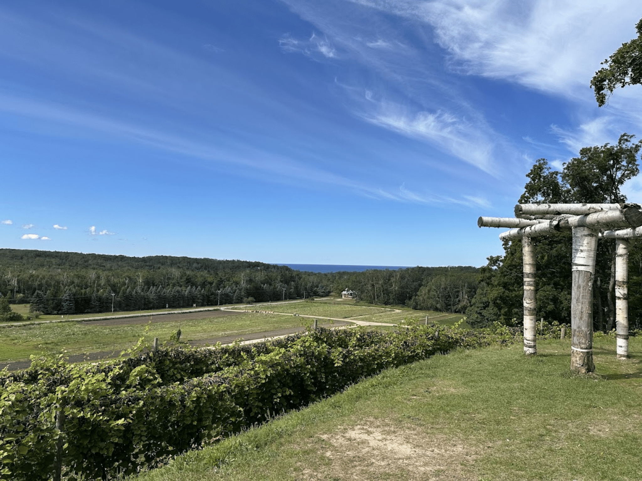 Pond Hill Farm vineyard with distant Lake Michigan view near Harbor Springs
