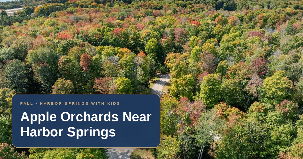 Early fall color over the woods at The Bird House, a family vacation home near the apple orchards of Harbor Springs, Michigan